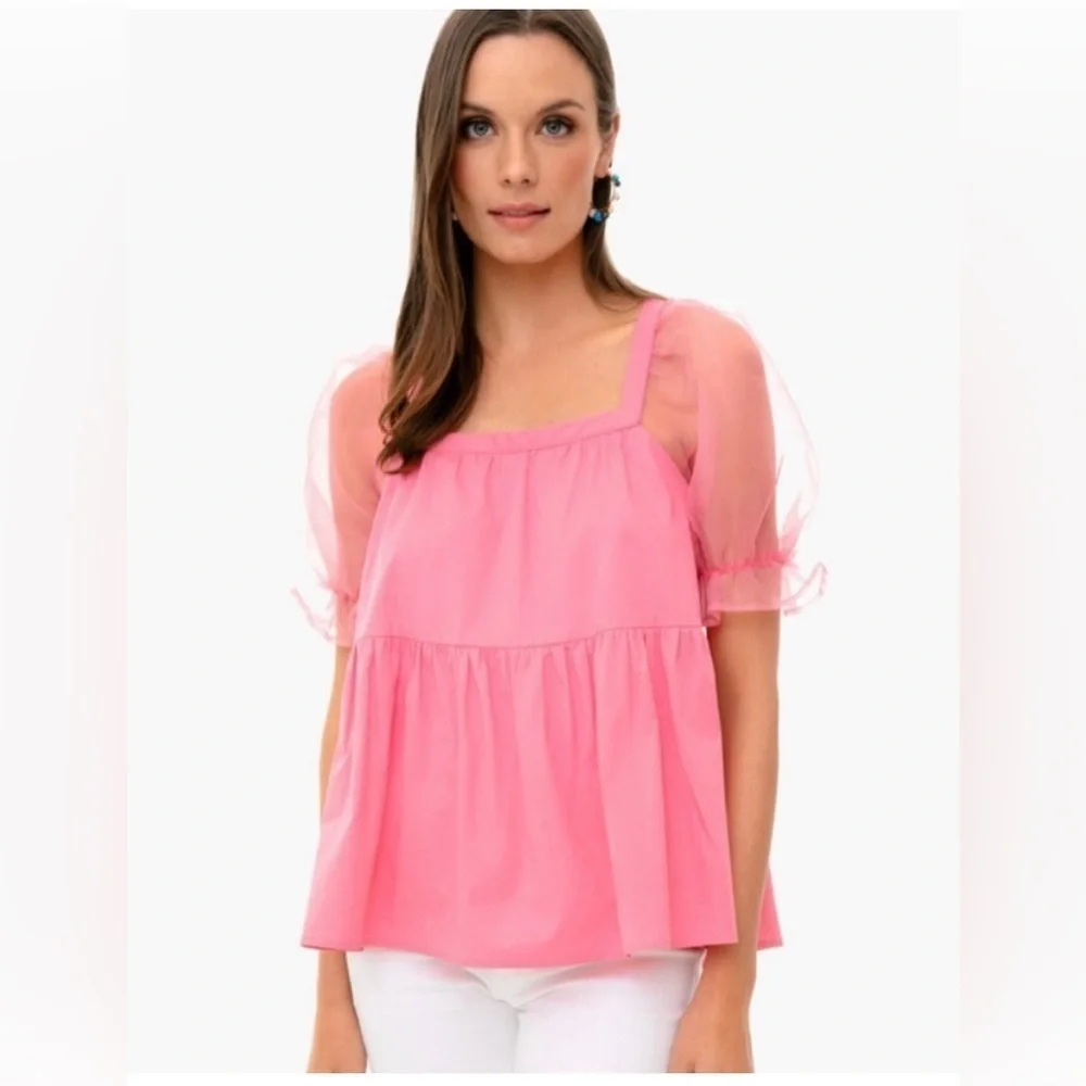 Tuckernuck X Pomander Place | Pink Tinsley Sheer Puff Sleeve Top Size‎ Medium